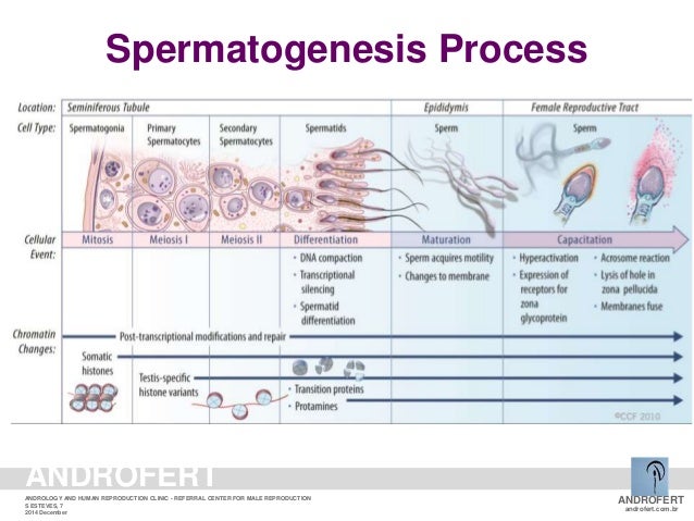 Cock movie suck throating Biomarker sperm fertility market